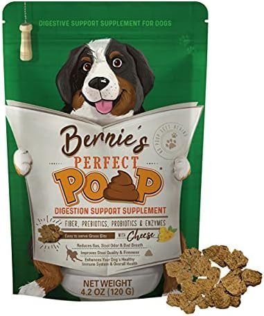 Perfect Poop Digestion & General Health Supplement for Dogs